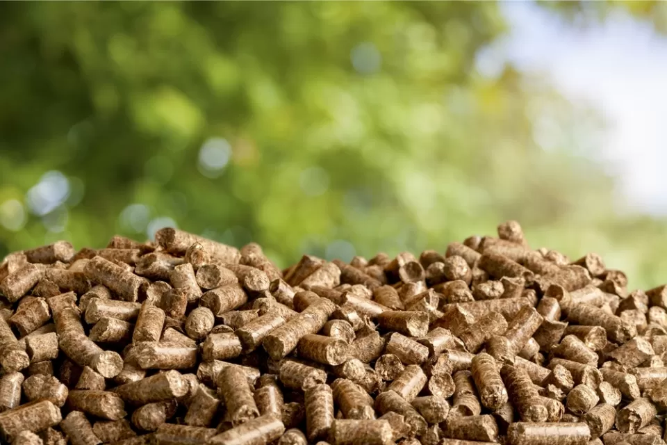Biomass